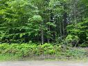 Land/Lot - Ch. Des Malards, Nominingue, QC 