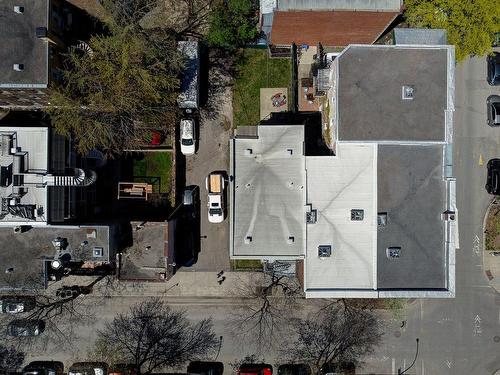 Overall view - Rue Marie-Anne E., Montréal (Le Plateau-Mont-Royal), QC 