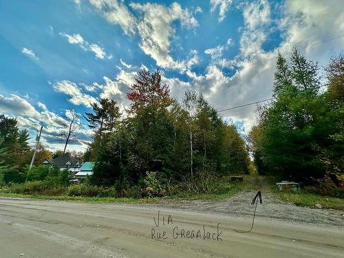 Vue d'ensemble - Rue Des Montagnes, Gore, QC 