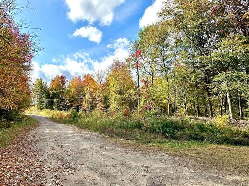 Rue - Rue Des Montagnes, Gore, QC 