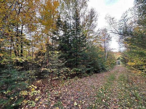 Vue d'ensemble - Rue Des Montagnes, Gore, QC 