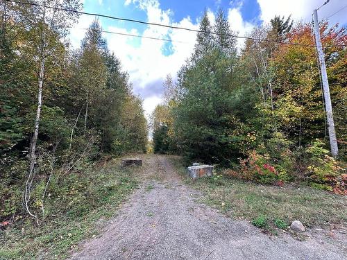 Vue d'ensemble - Rue Des Montagnes, Gore, QC 