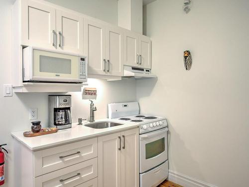 Kitchen - 21 Ch. Burnside, La Pêche, QC - Indoor Photo Showing Kitchen