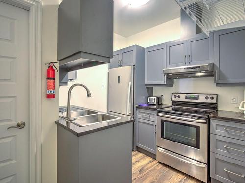 Kitchen - 21 Ch. Burnside, La Pêche, QC - Indoor Photo Showing Kitchen With Double Sink