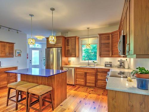 Kitchen - 21 Ch. Burnside, La Pêche, QC - Indoor Photo Showing Kitchen