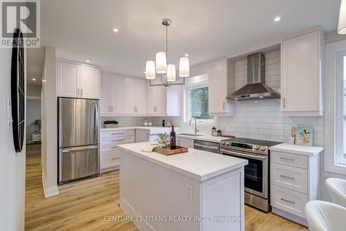 223 Epsom Downs Drive, Toronto (Downsview-Roding-Cfb), ON - Indoor Photo Showing Kitchen With Stainless Steel Kitchen With Upgraded Kitchen