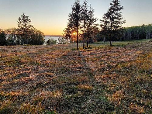 Land/Lot - Ch. Du Royaume-Des-Cèdres, Saint-Bruno-De-Guigues, QC 