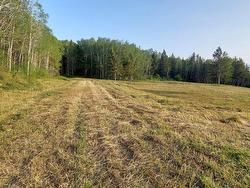 Land/Lot - 