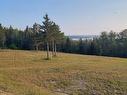 Land/Lot - Ch. Du Royaume-Des-Cèdres, Saint-Bruno-De-Guigues, QC 