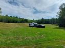 Land/Lot - Ch. Du Royaume-Des-Cèdres, Saint-Bruno-De-Guigues, QC 