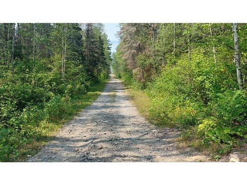 Land/Lot - Ch. Du Royaume-Des-Cèdres, Saint-Bruno-De-Guigues, QC 