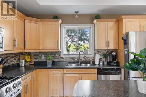 4817 Barcelona, Windsor, ON - Indoor Photo Showing Kitchen With Double Sink