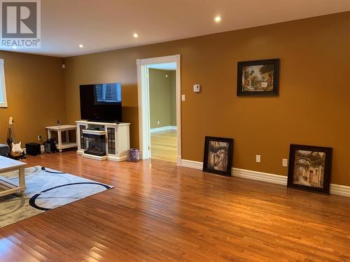 1852 Topsail Road, Paradise, NL - Indoor Photo Showing Living Room