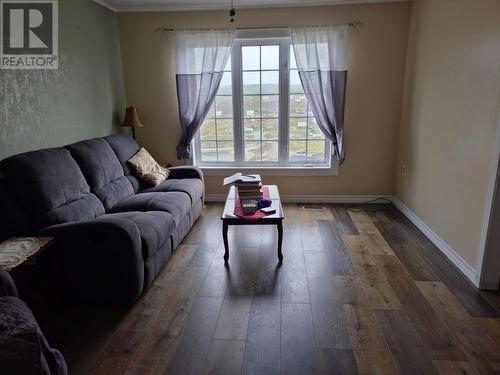 11 Walshes Hill, Bay De Verde, NL - Indoor Photo Showing Living Room