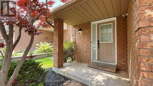 381 Rushbrook Drive, Newmarket (Summerhill Estates), ON - Outdoor With Deck Patio Veranda With Exterior