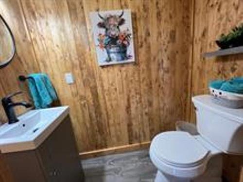 Powder room - 248Z Ch. Des Bouleaux, Nédélec, QC - Indoor Photo Showing Bathroom