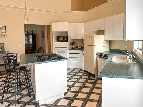 101-45 Hudsons Bay Trail, Kamloops, BC - Indoor Photo Showing Kitchen With Double Sink