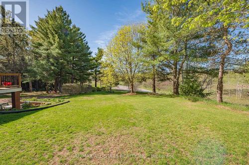 3374 Elm Tree Road, Kawartha Lakes, ON - Outdoor