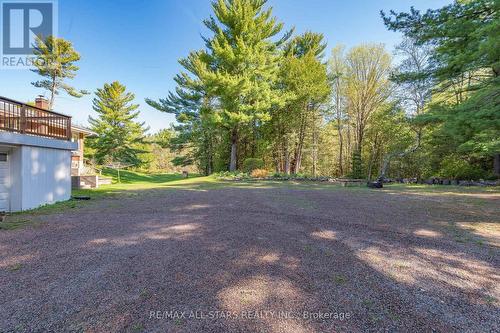 3374 Elm Tree Road, Kawartha Lakes, ON - Outdoor