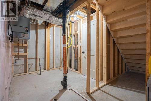 311 Anise Lane, Sarnia, ON - Indoor Photo Showing Basement