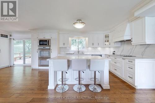 550 Mount Albert Road, East Gwillimbury, ON - Indoor Photo Showing Kitchen With Upgraded Kitchen