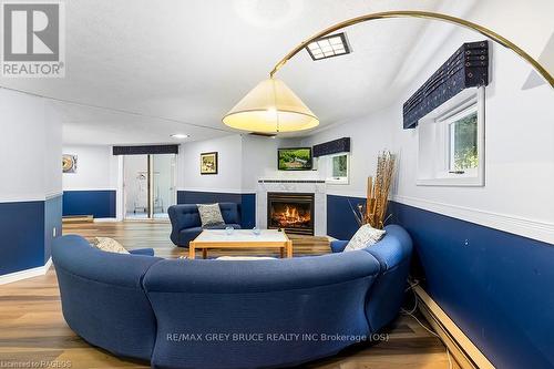 15 Isthmus Bay Road, Northern Bruce Peninsula, ON - Indoor Photo Showing Living Room With Fireplace