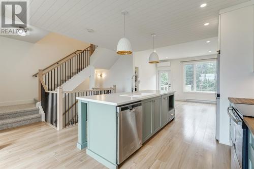 58 Claddagh Road, St. John'S, NL - Indoor Photo Showing Kitchen With Upgraded Kitchen