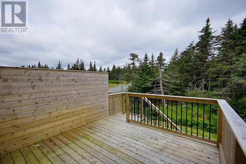 58 Claddagh Road, St. John'S, NL - Outdoor