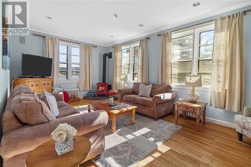 428 Main Road N, Mount Carmel, NL - Indoor Photo Showing Living Room