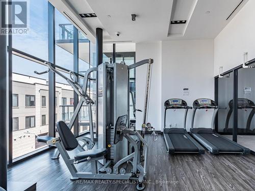 A308 - 1117 Cooke Boulevard, Burlington (Lasalle), ON - Indoor Photo Showing Gym Room