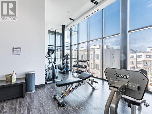 A308 - 1117 Cooke Boulevard, Burlington (Lasalle), ON - Indoor Photo Showing Gym Room