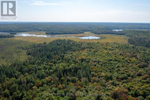 N/A Lot 15 Concession 11, Huntsville, ON - Outdoor With View