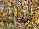 Land/Lot - Ch. Du Vallon, Bolton-Ouest, QC 