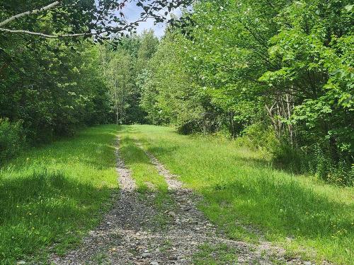 Land/Lot - Ch. Du Vallon, Bolton-Ouest, QC 