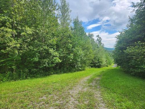 Land/Lot - Ch. Du Vallon, Bolton-Ouest, QC 