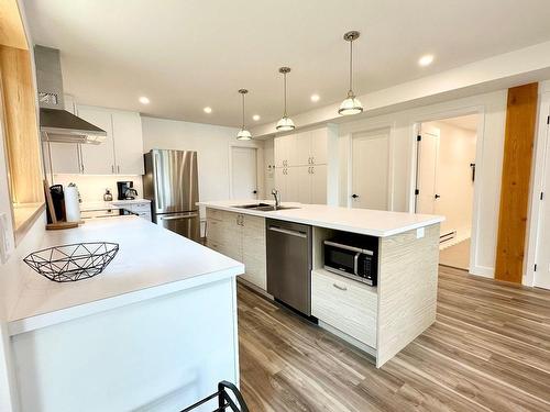 Cuisine - 1077Ah Rue Du Tour-Du-Lac, Val-David, QC - Indoor Photo Showing Kitchen With Upgraded Kitchen