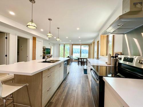 Overall view - 1077Ah Rue Du Tour-Du-Lac, Val-David, QC - Indoor Photo Showing Kitchen With Double Sink With Upgraded Kitchen