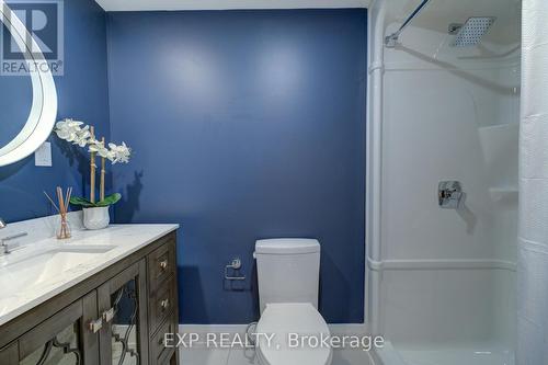 B - 3 Spring Lane, Brantford, ON - Indoor Photo Showing Bathroom