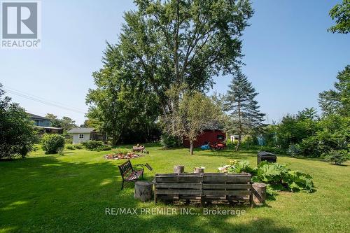 2704 Television Road, Douro-Dummer, ON - Outdoor With Backyard