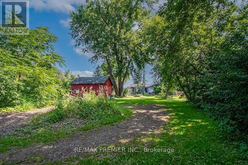 2704 Television Road, Douro-Dummer, ON - Outdoor