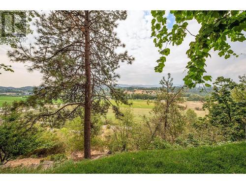 10604 Bonnie Drive, Lake Country, BC - Outdoor With View