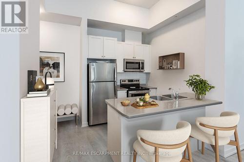 103 - 81 Robinson Street, Hamilton (Durand), ON - Indoor Photo Showing Kitchen With Double Sink