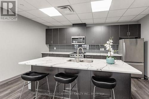 103 - 81 Robinson Street, Hamilton (Durand), ON - Indoor Photo Showing Kitchen With Upgraded Kitchen