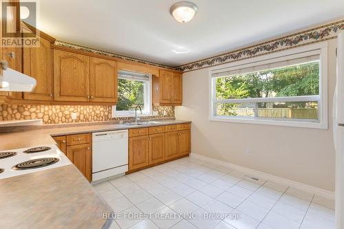 56 Princess Avenue, St. Thomas, ON - Indoor Photo Showing Kitchen With Double Sink