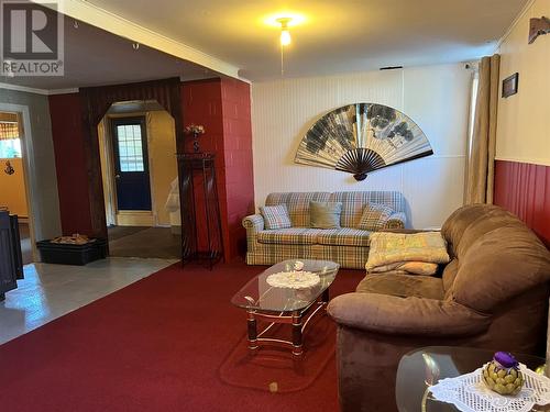 55 Main Street, South Brook, NL - Indoor Photo Showing Living Room