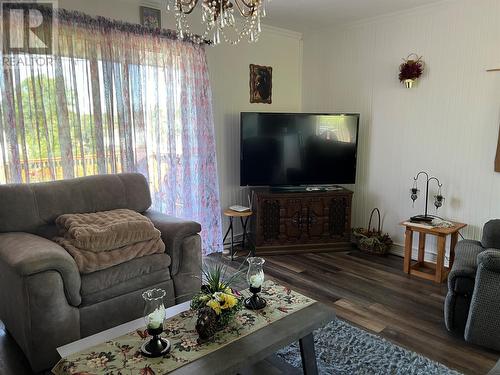 55 Main Street, South Brook, NL - Indoor Photo Showing Living Room