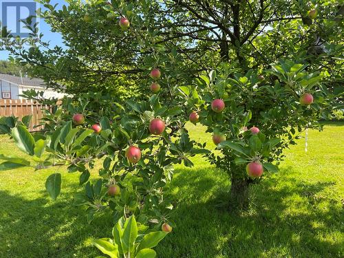 55 Main Street, South Brook, NL - Outdoor