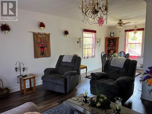 55 Main Street, South Brook, NL - Indoor Photo Showing Living Room