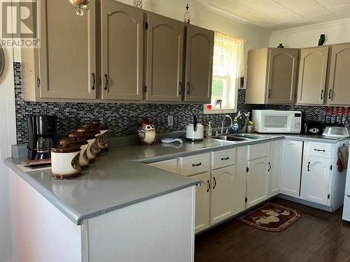 55 Main Street, South Brook, NL - Indoor Photo Showing Kitchen With Double Sink