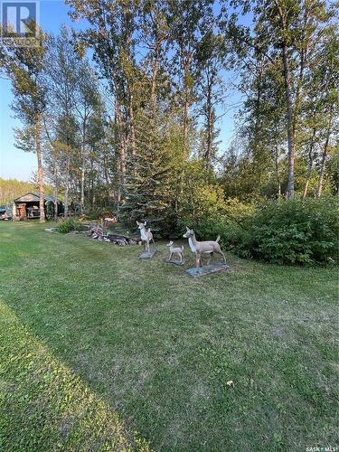 Horse Haven 35 Acres, Hudson Bay Rm No. 394, SK - Outdoor